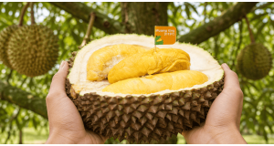 What Is Musang King Durian? Malaysia's Ultimate Guide